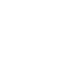 bg-ie-browser