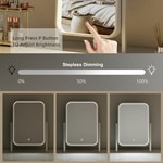Led Desktop Vanity Mirror With Lights