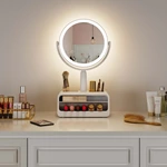 Led Vanity Mirror With Storage