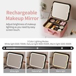 Makeup Bag With LED Mirror
