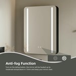 Black Bathroom Mirror Cabinet