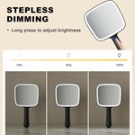 Led Hand Held Mirror