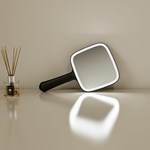 Led Hand Held Mirror