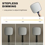 Led Hand Held Mirror