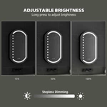 Ovale LED badkamerspiegelkast