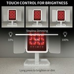 LED Phototherapy Trifold Mirror
