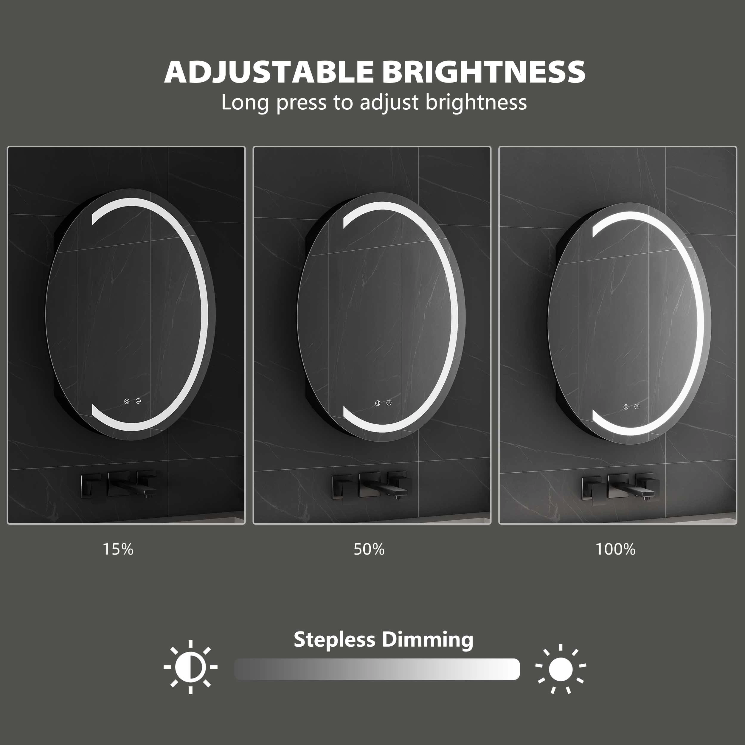 Oval LED Bathroom Mirror Cabinet