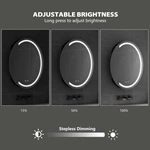 Armoire de salle de bain ovale avec miroir LED