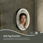 Oval LED Bathroom Mirror Cabinet