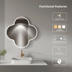 Irregular Shaped Bathroom Mirrors