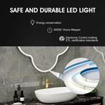 Irregular Shaped Mirror