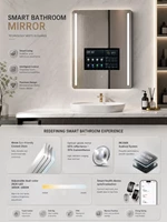AI Bathroom Mirror
